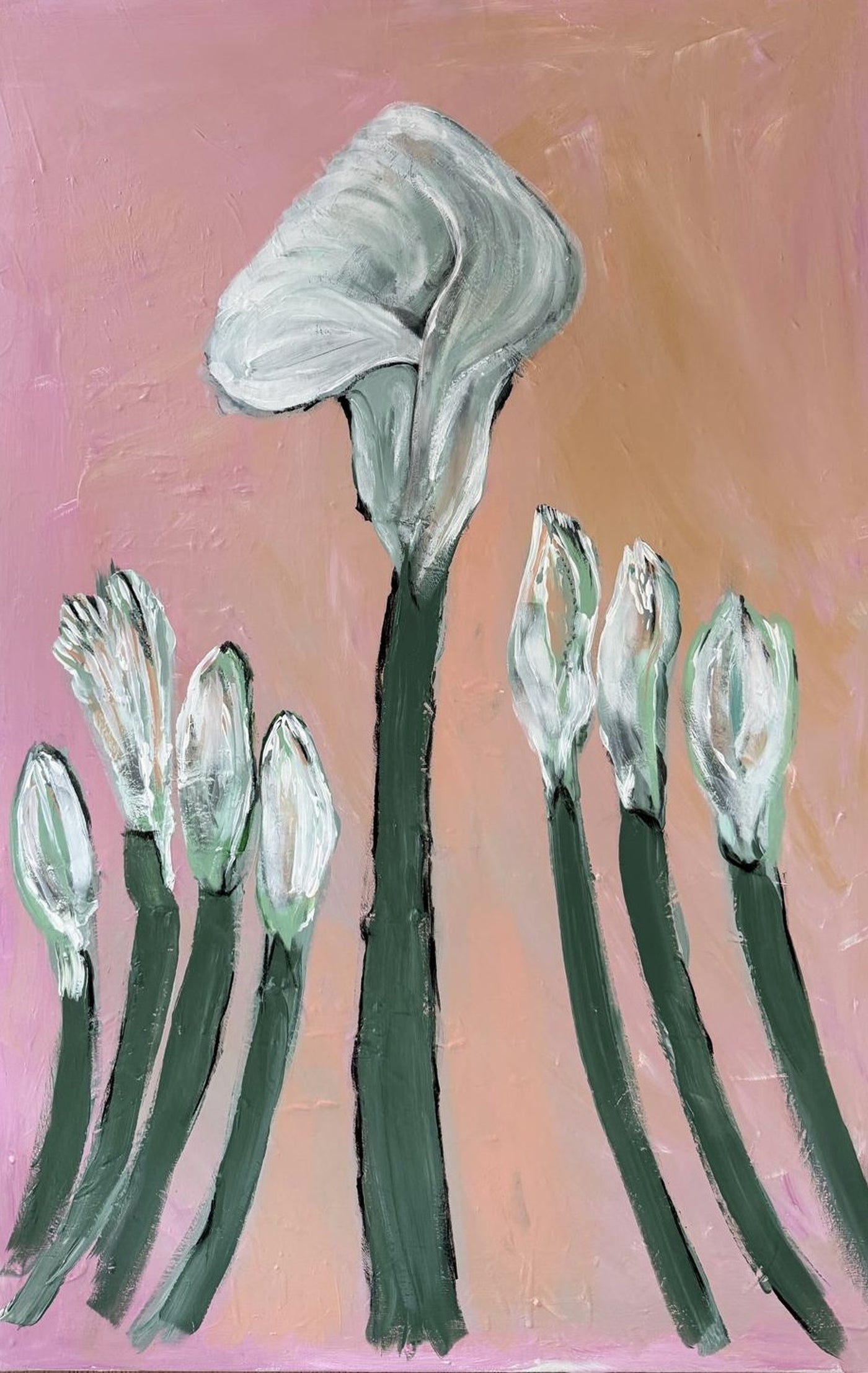 Calla Code